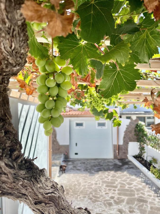 Tamaduste La Casita De La Parra, El Hierroヴィラ エクステリア 写真